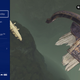 PlayStation’s blog
